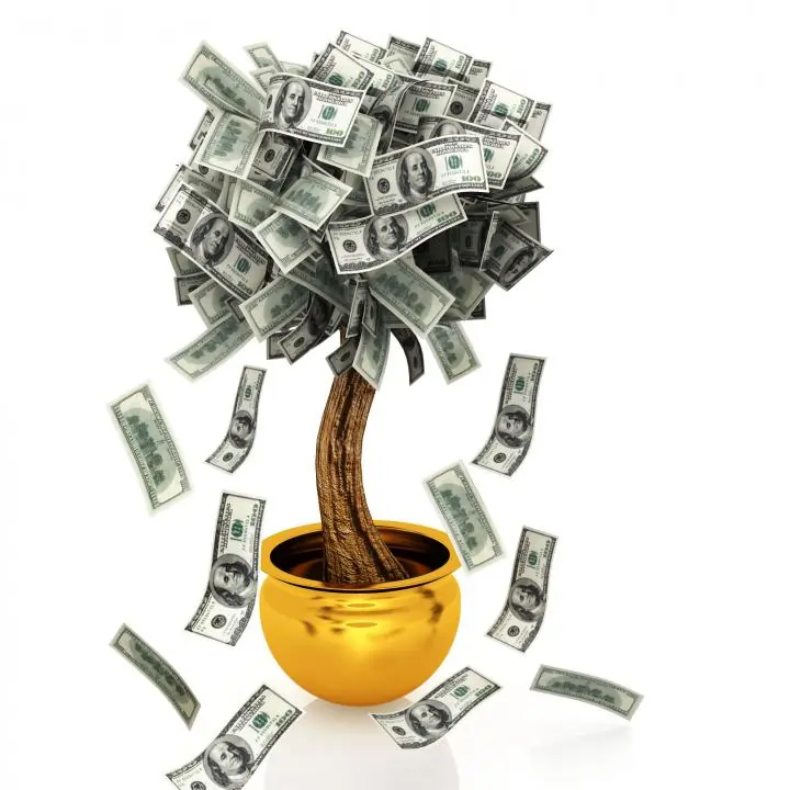 money tree with dollar notes as leaves in pot stock photo Slide01